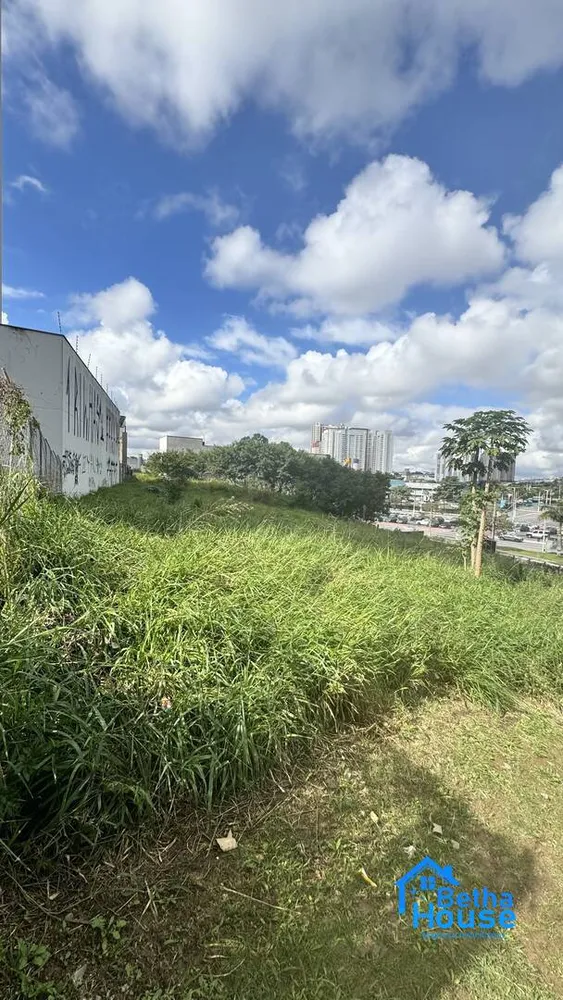 Terreno, 251 m² - Foto 3