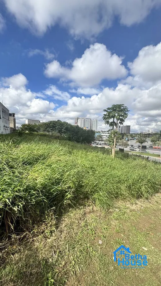 Terreno, 251 m² - Foto 4