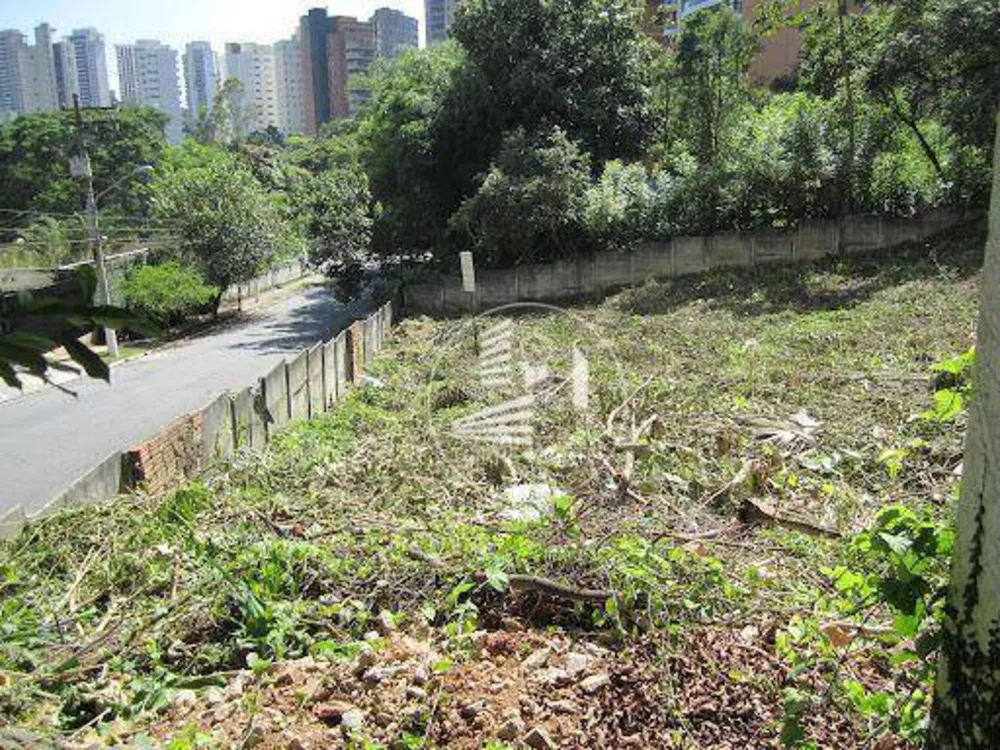 Loteamento e Condomínio, 2442 m² - Foto 3