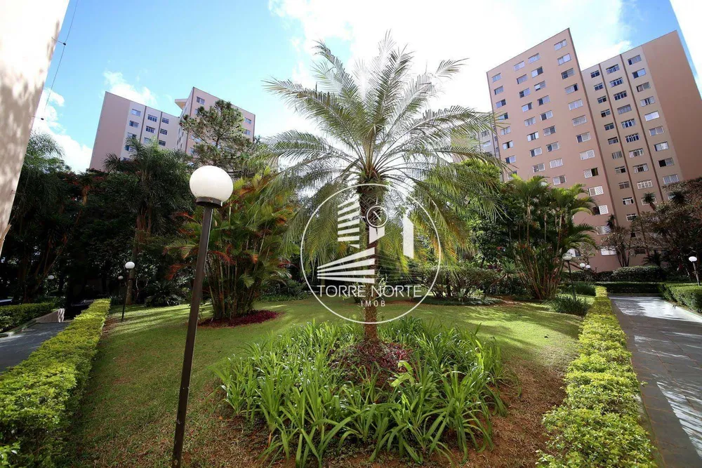 Apartamento, 3 quartos, 78 m² - Foto 3