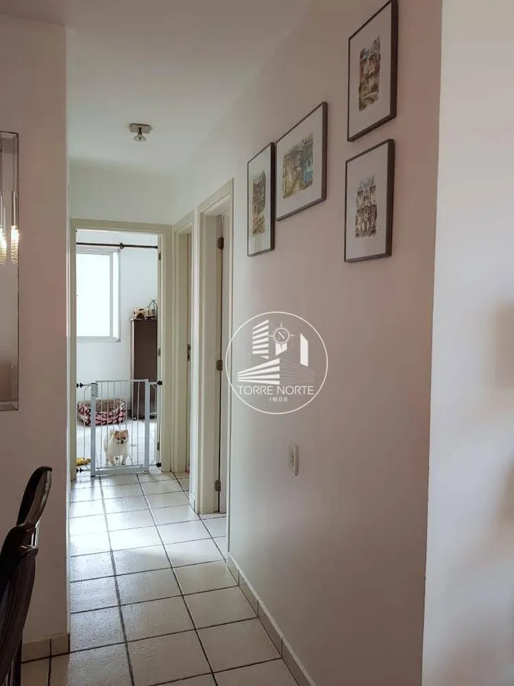 Apartamento, 3 quartos, 48 m² - Foto 3
