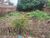 Terreno, 400 m² - Foto 4