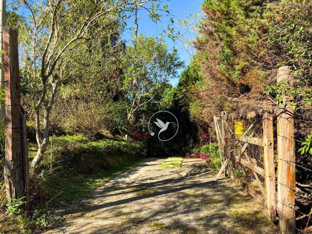 Sítio, 3 quartos, 8000 m² - Foto 62