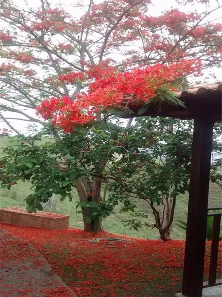 Flat/Apart Hotel, 22 quartos, 3000 m² - Foto 19