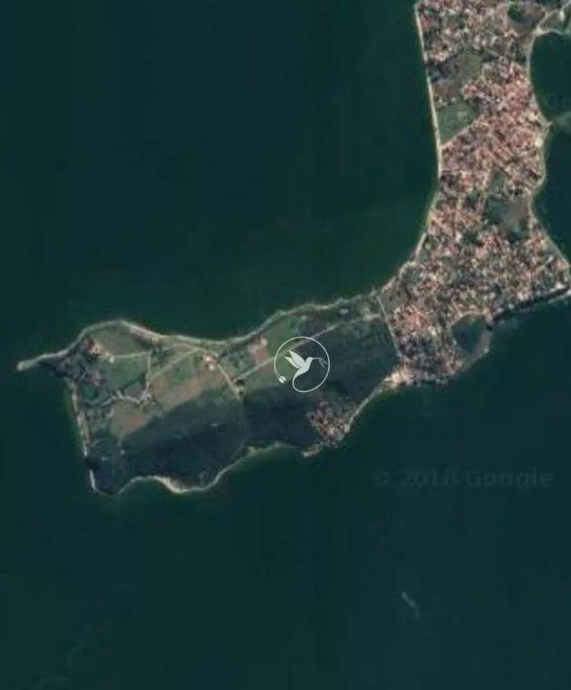 Terreno, 6500 m² - Foto 9