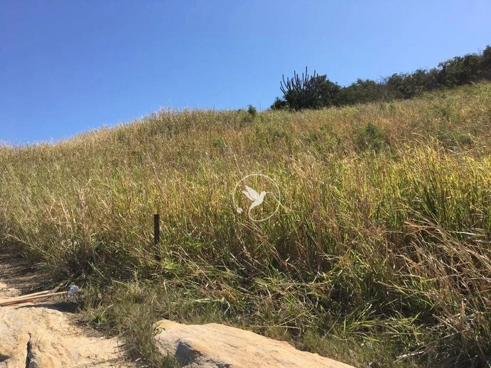 Terreno, 6500 m² - Foto 6