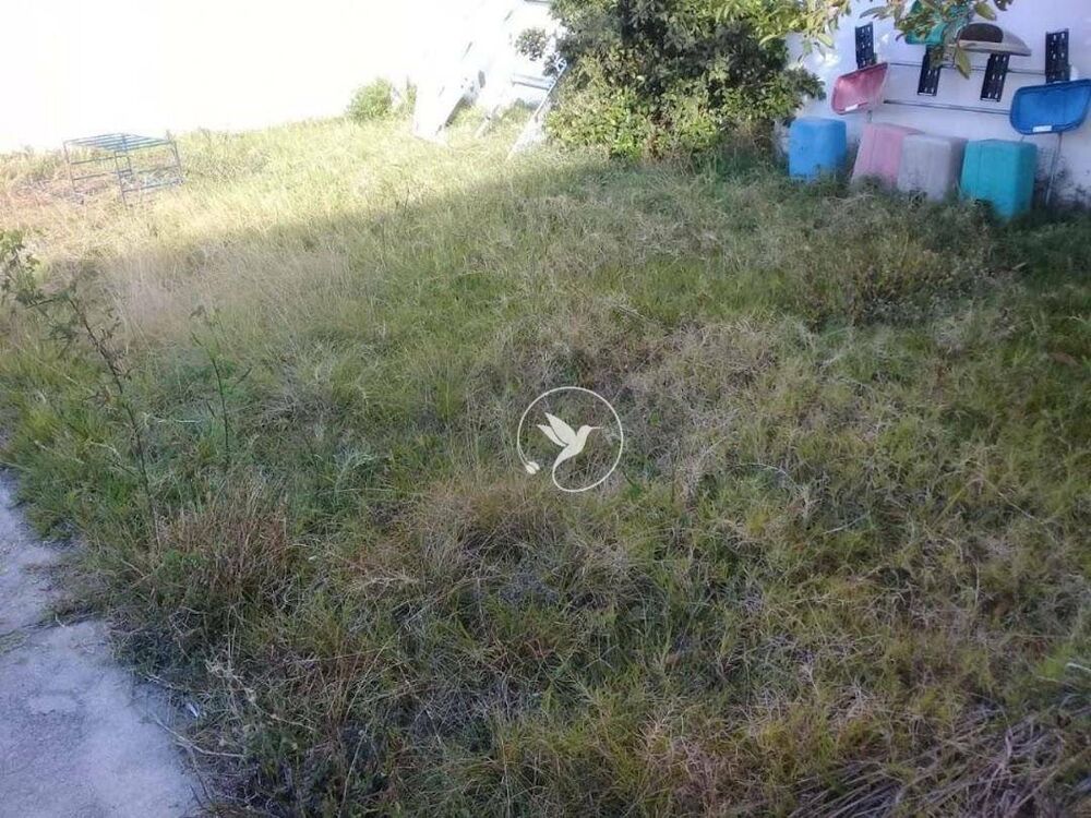 Terreno, 620 m² - Foto 4