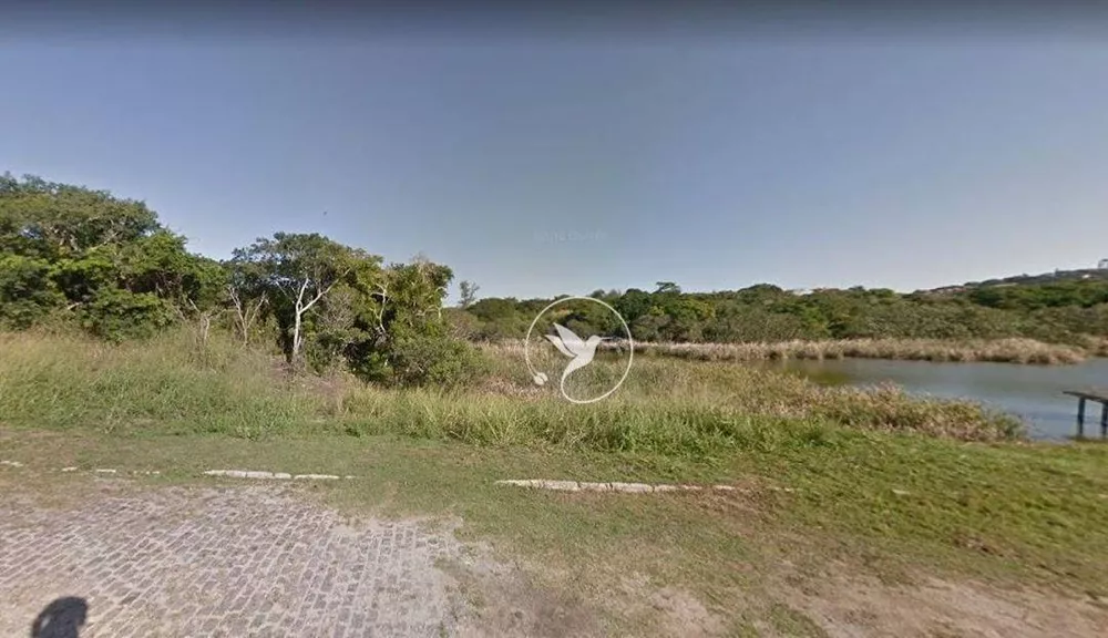 Terreno, 1000 m² - Foto 10