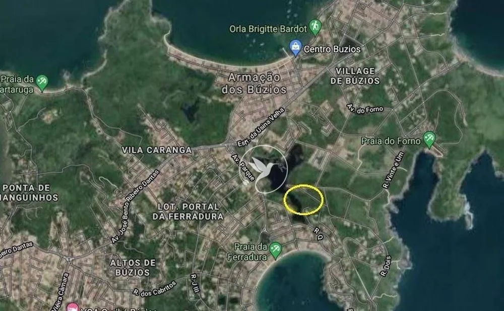 Terreno, 1000 m² - Foto 14