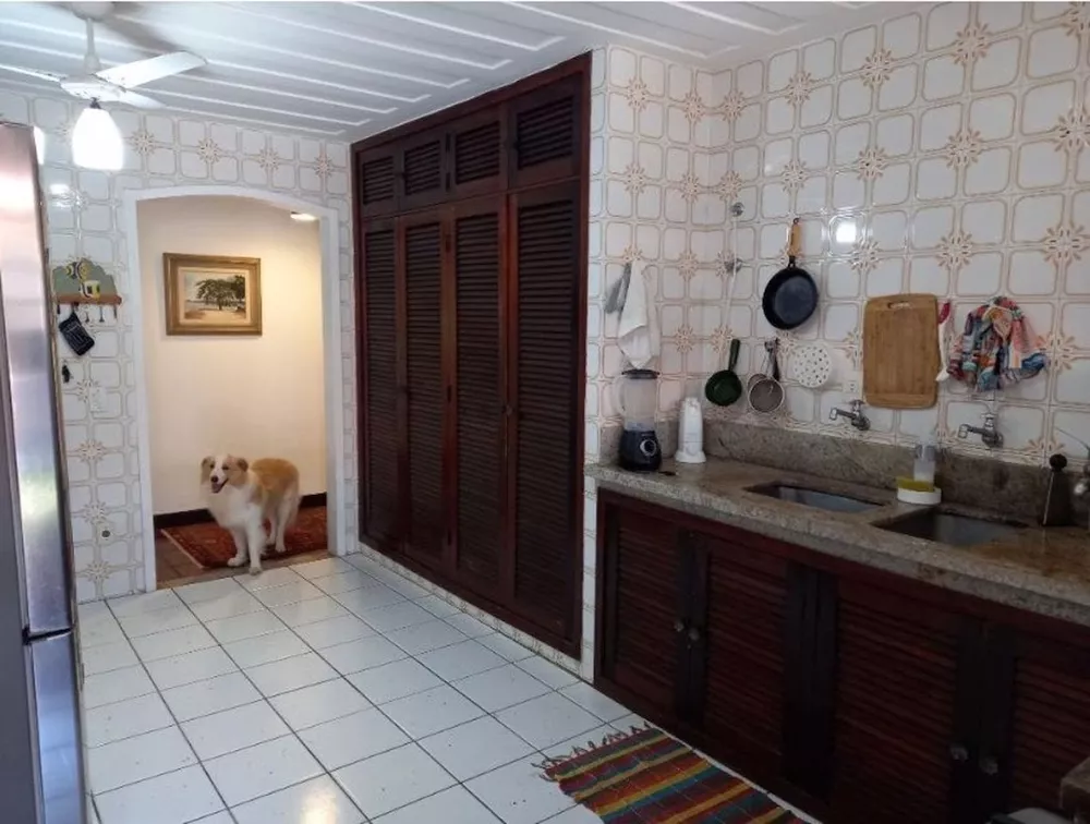 Casa, 4 quartos, 367 m² - Foto 15