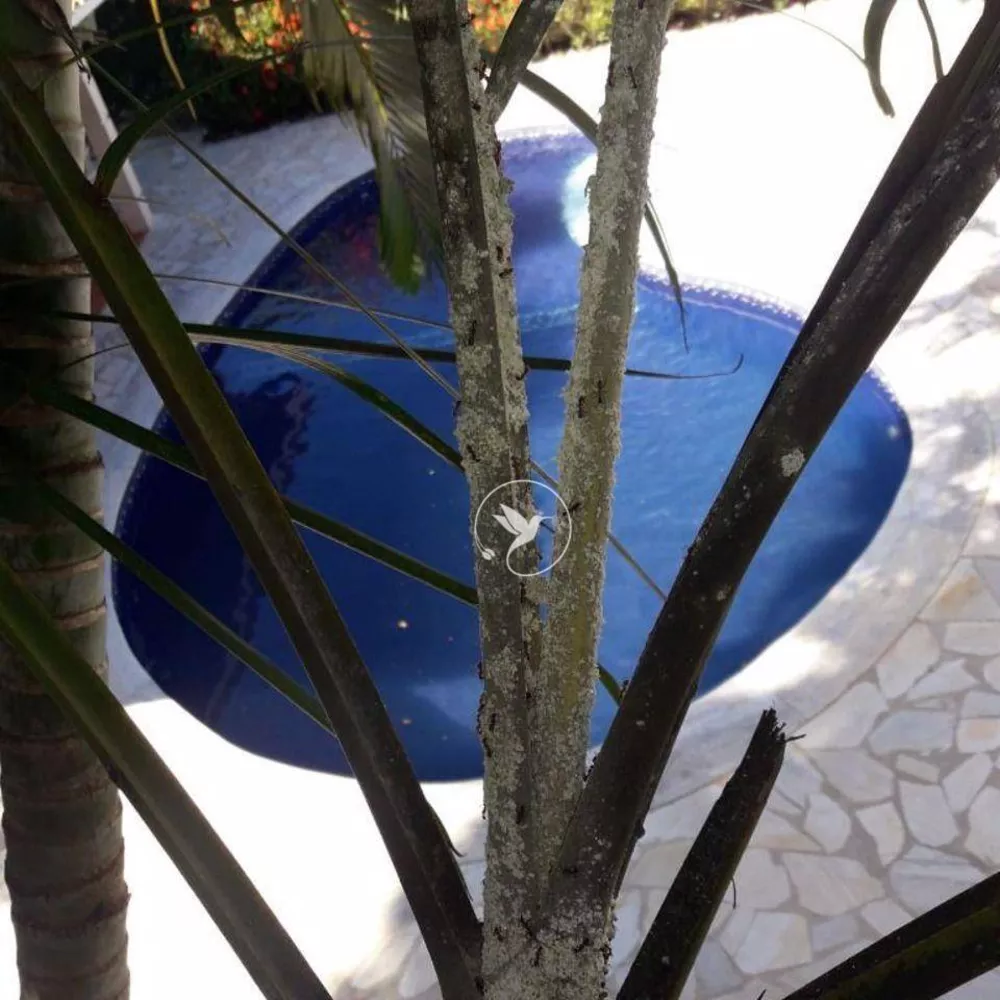 Casa, 5 quartos, 380 m² - Foto 31