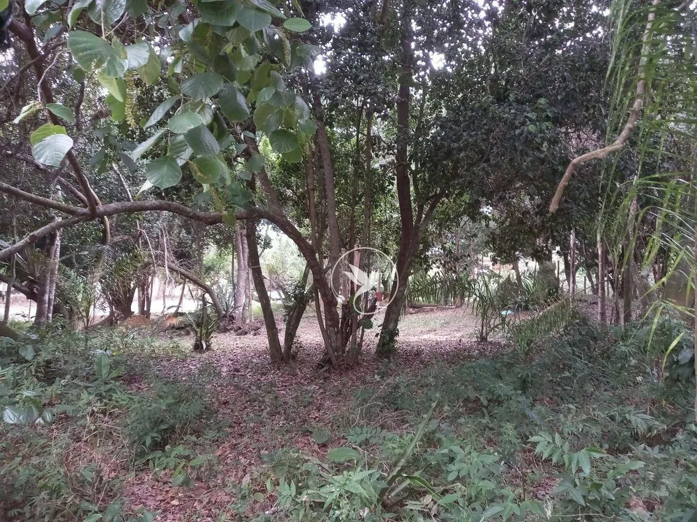 Terreno, 1302 m² - Foto 8