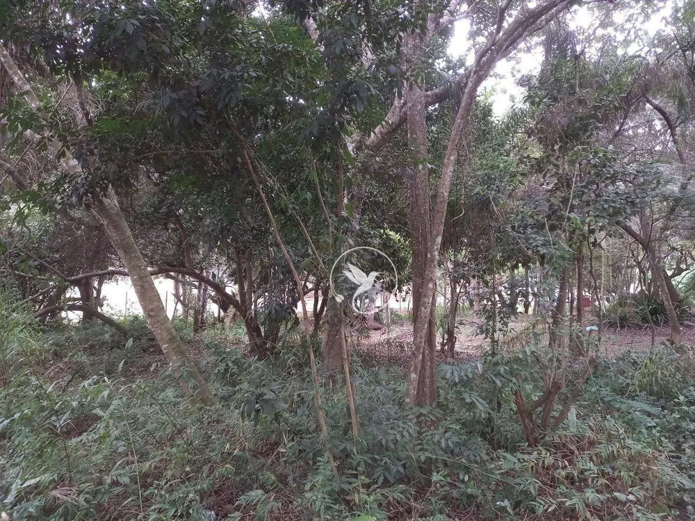 Terreno, 1302 m² - Foto 9