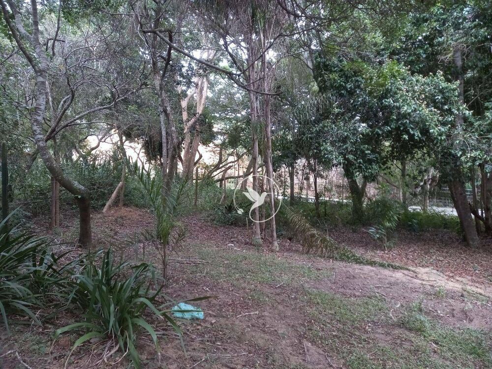 Terreno, 1302 m² - Foto 12