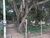 Terreno, 1302 m² - Foto 1