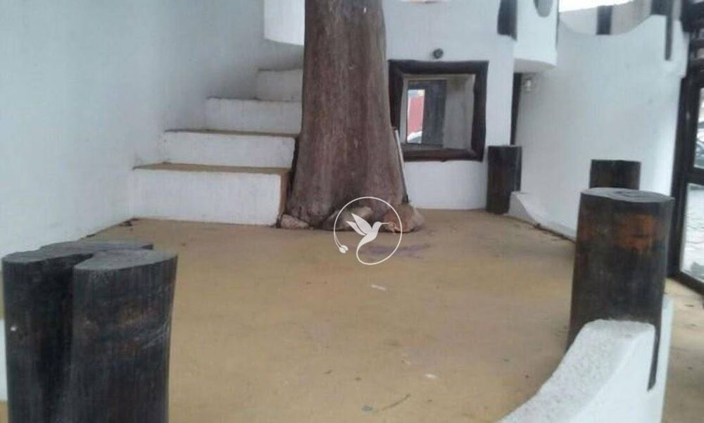 Casa, 3 quartos, 260 m² - Foto 5