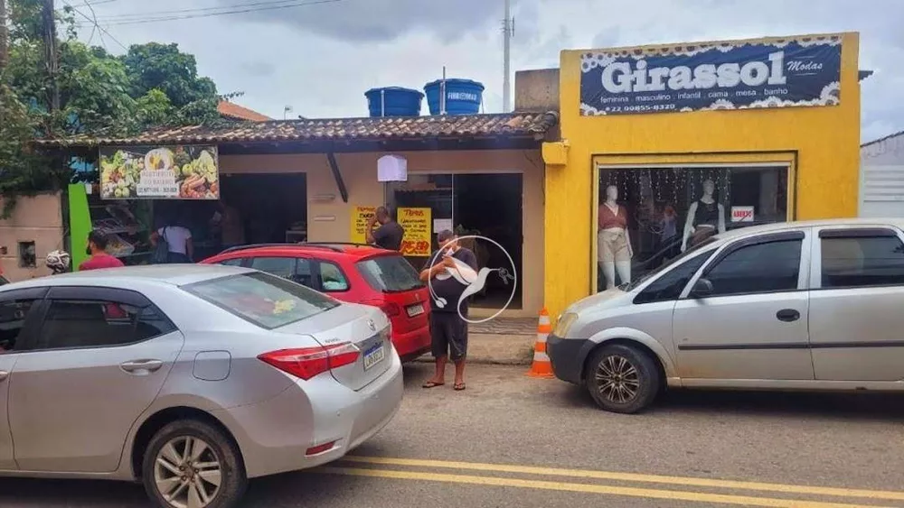 Casa, 3 quartos, 450 m² - Foto 6