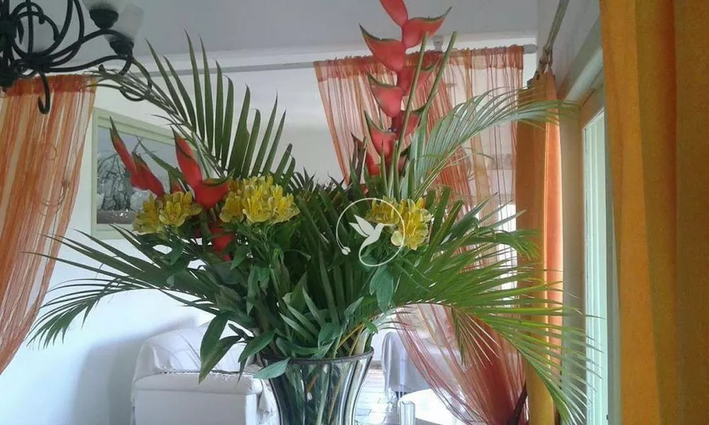 Pousada-Chalé, 10 quartos, 700 m² - Foto 30