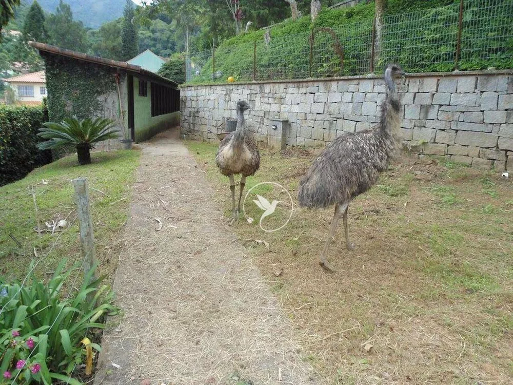 Sítio, 11 quartos, 1 hectares - Foto 29