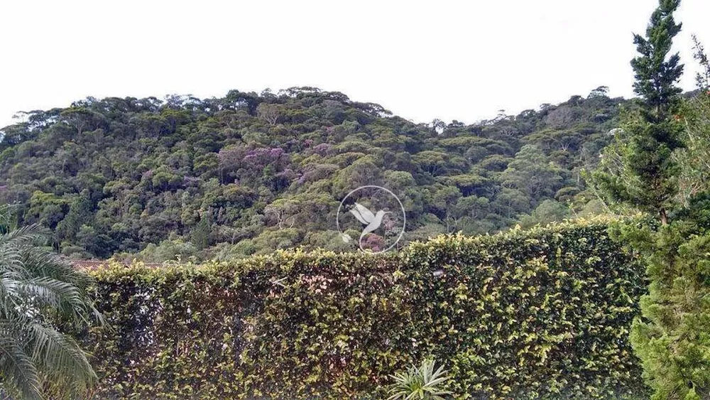 Sítio, 11 quartos, 1 hectares - Foto 36