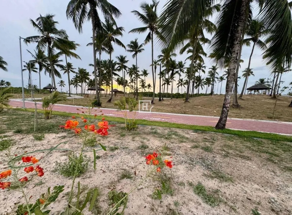 Terreno, 250 m² - Foto 4