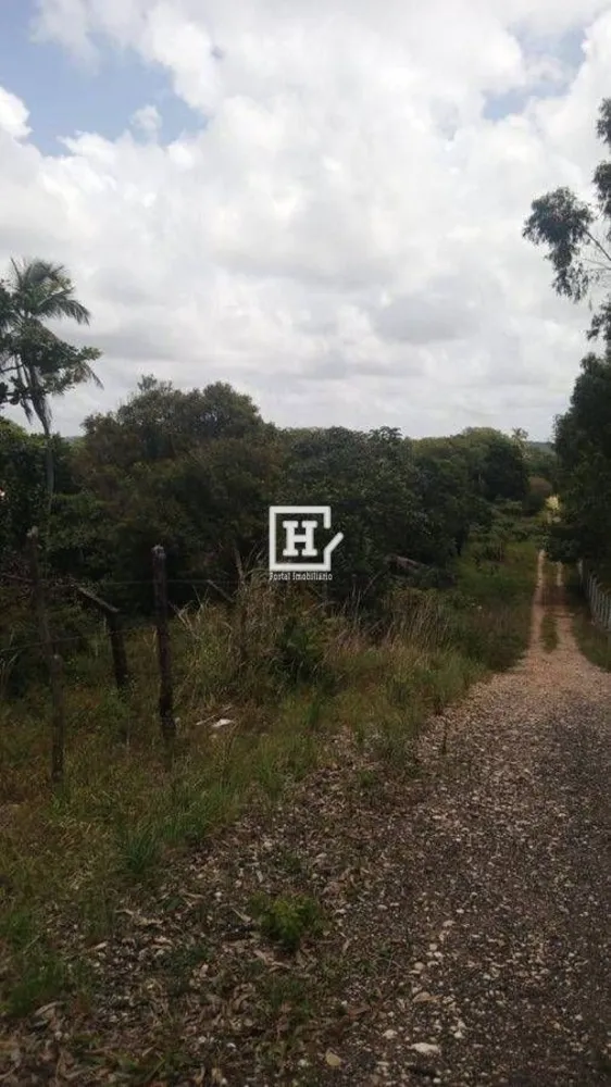 Terreno, 9000 m² - Foto 2