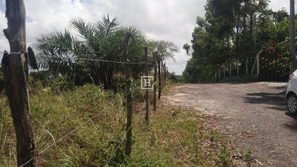 Terreno, 9000 m² - Foto 1