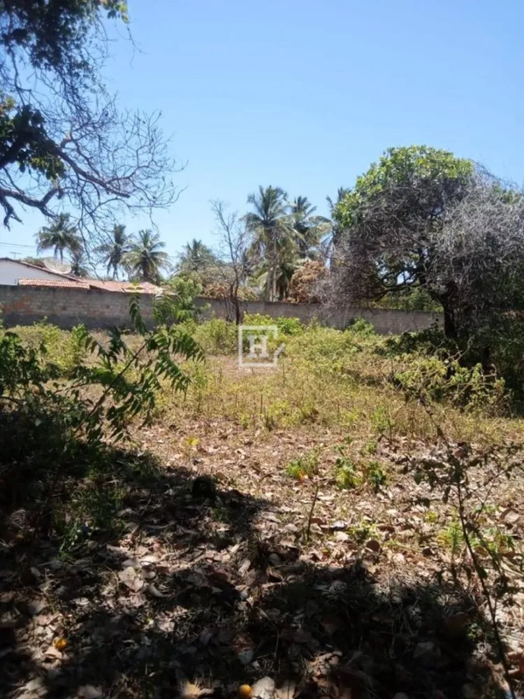 Terreno, 4470 m² - Foto 4