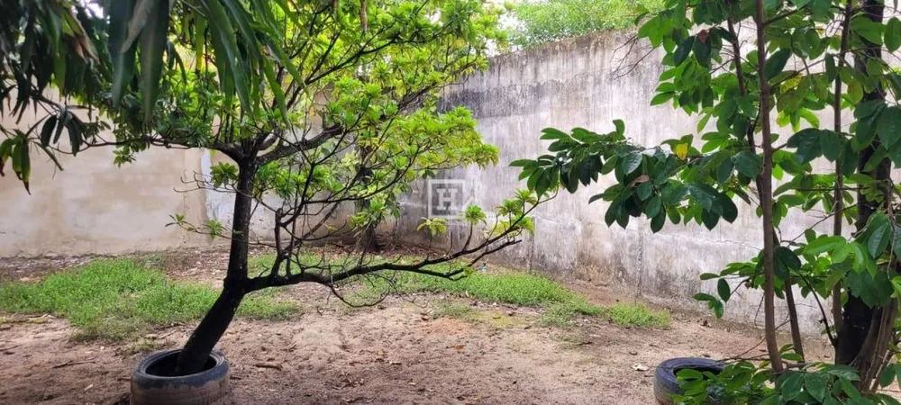 Sítio, 2 quartos, 2000 m² - Foto 3