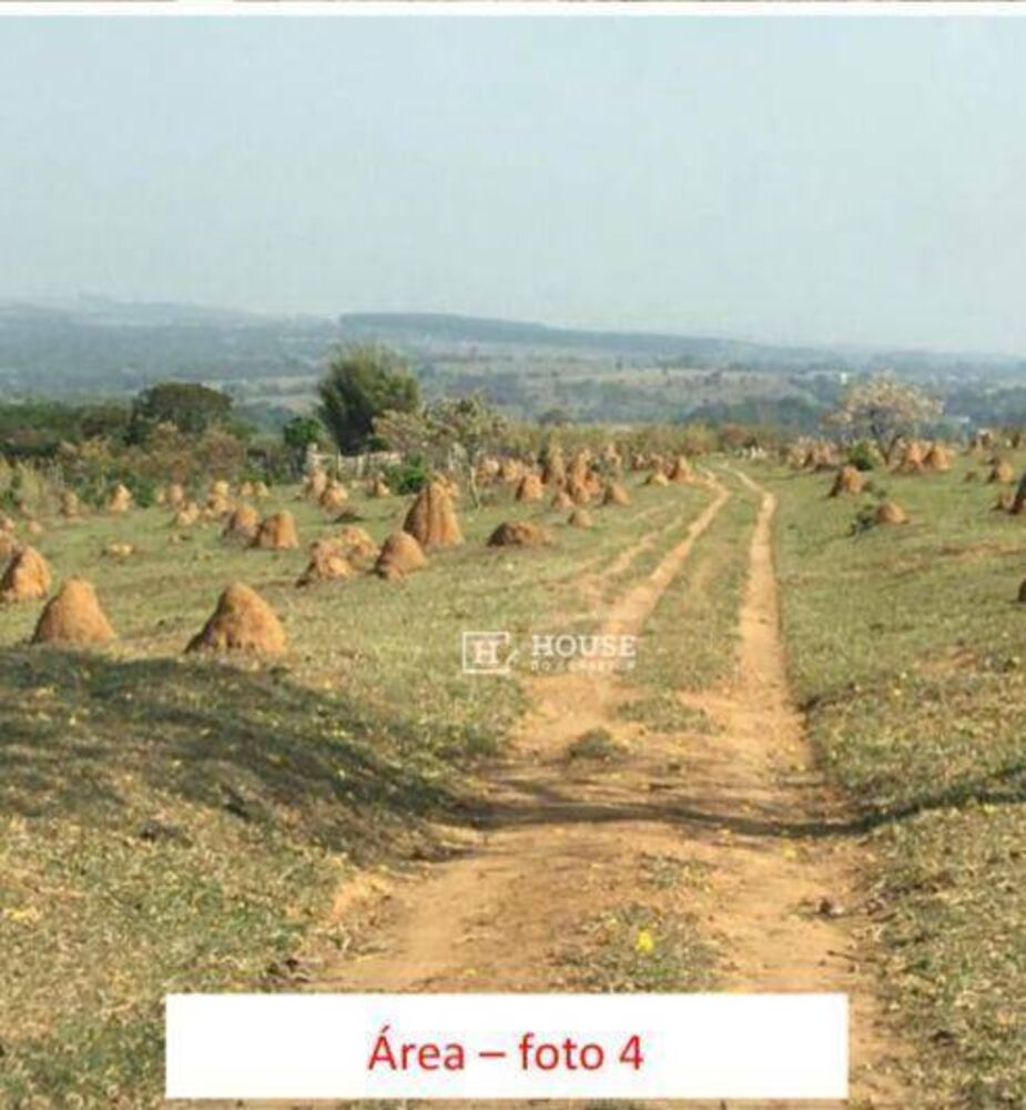 Terreno, 20 hectares - Foto 4