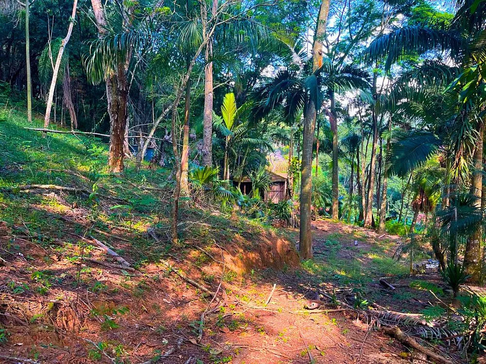 Sítio, 4 quartos, 4 hectares - Foto 11