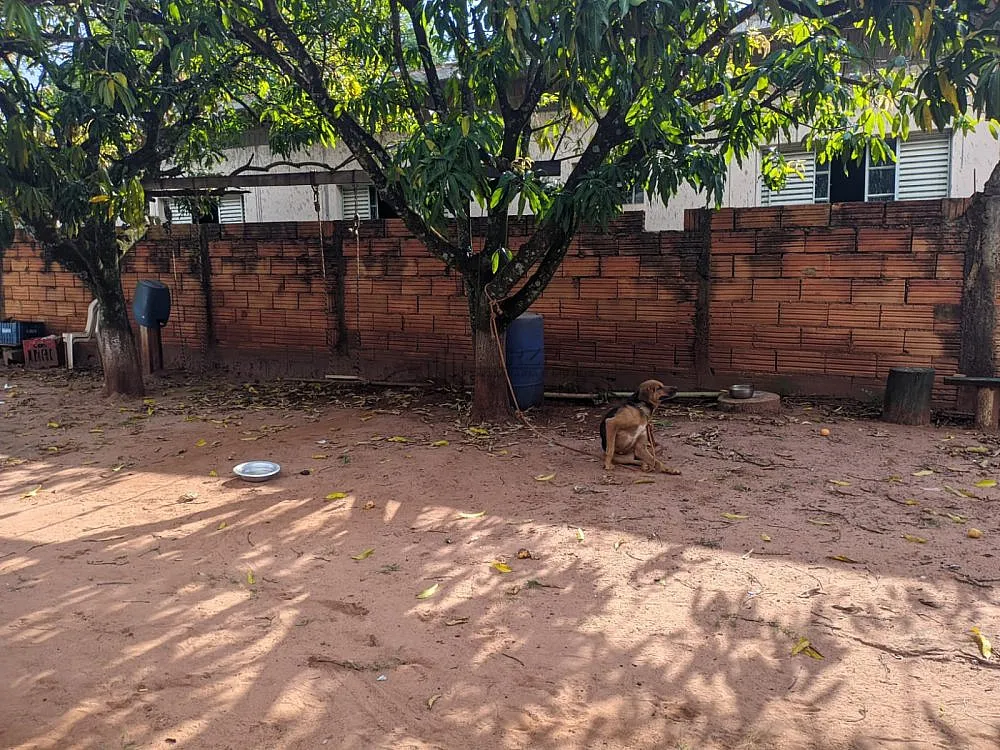 Casa, 5 quartos, 206 m² - Foto 12