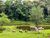 Fazenda, 2 hectares - Foto 1