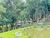 Fazenda, 2 hectares - Foto 3