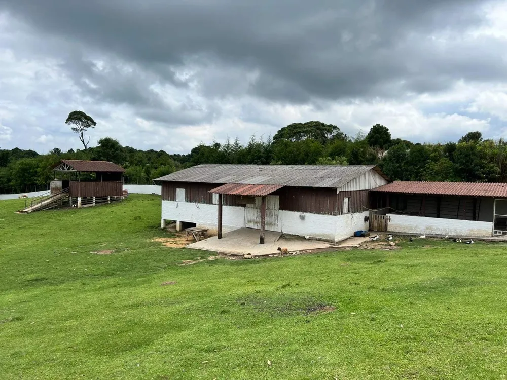 Fazenda, 2 hectares - Foto 6