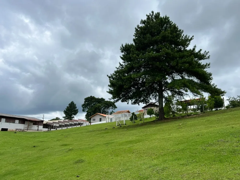 Fazenda, 2 hectares - Foto 4