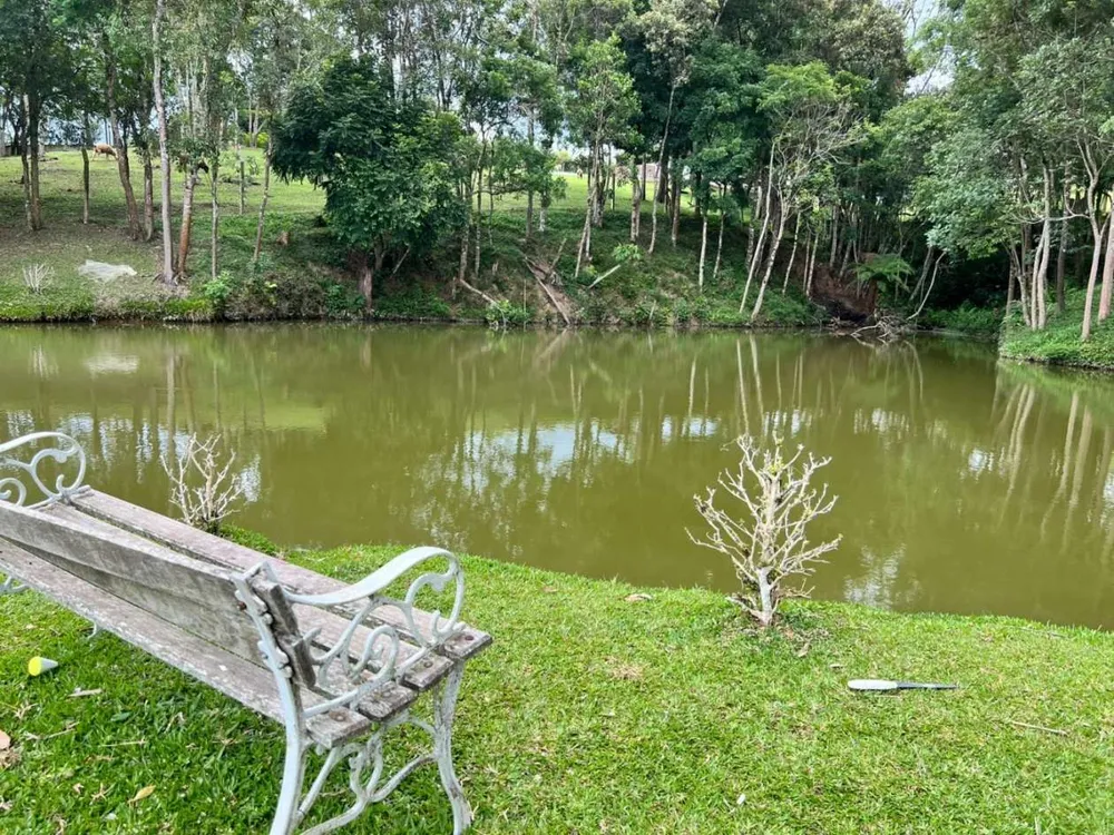 Fazenda, 2 hectares - Foto 3
