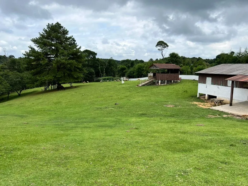 Fazenda, 2 hectares - Foto 7