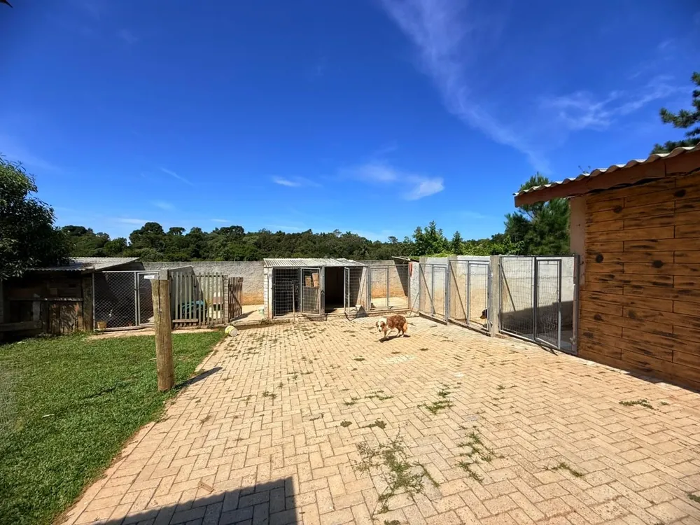 Chácara, 6600 m² - Foto 4