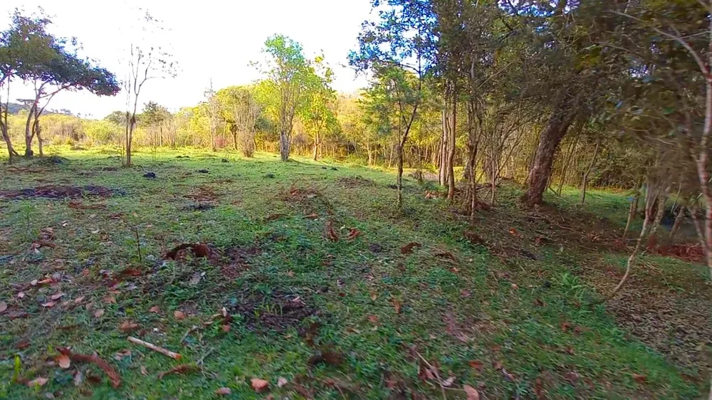 Chácara, 3 hectares - Foto 10