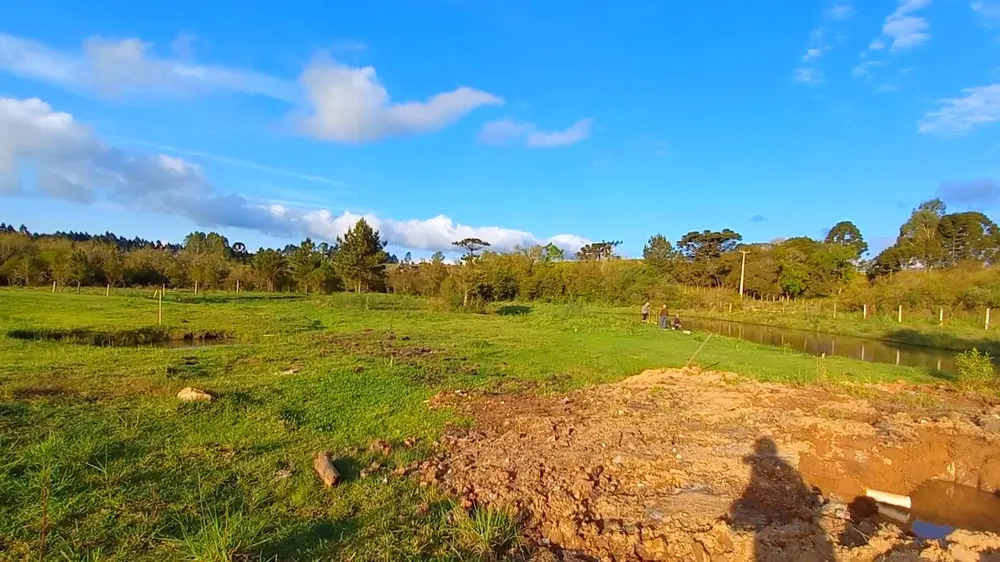 Chácara, 3 hectares - Foto 1