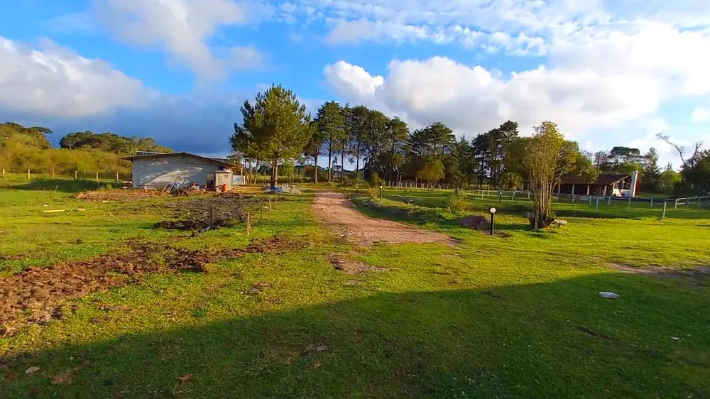 Chácara, 3 hectares - Foto 3