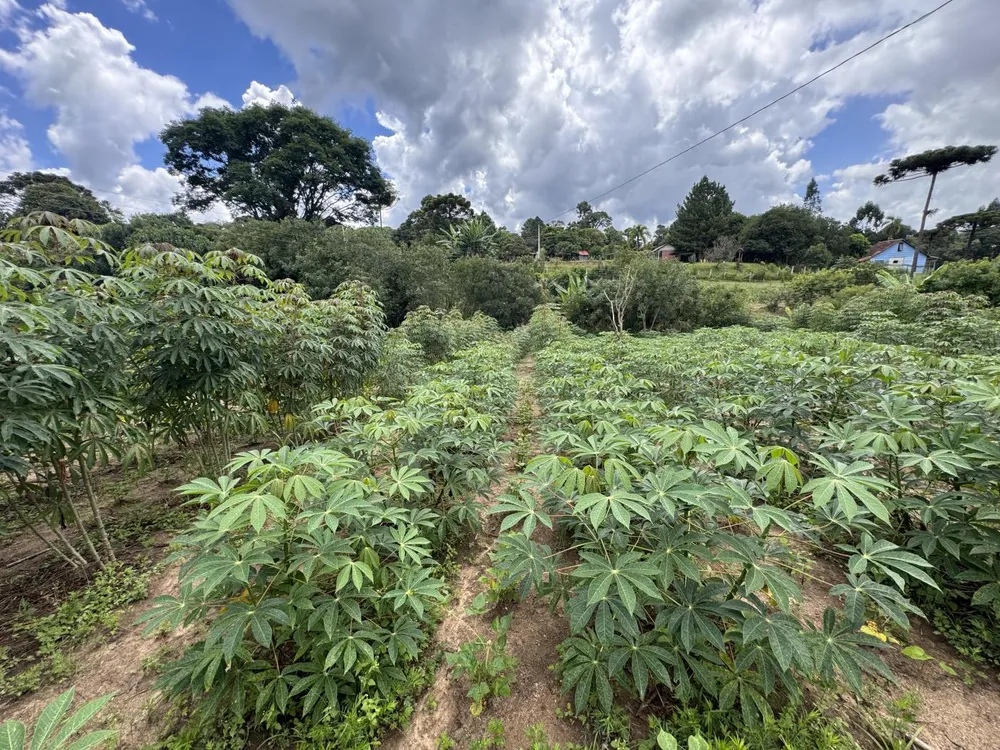 Chácara, 5500 m² - Foto 1