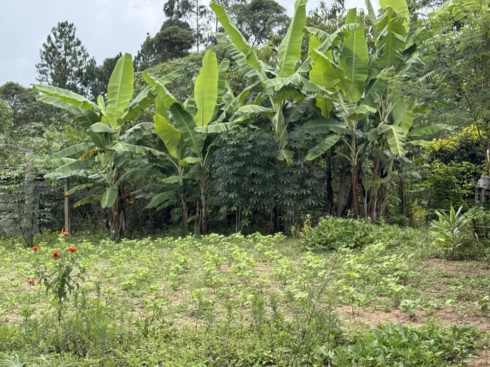 Chácara, 5500 m² - Foto 2