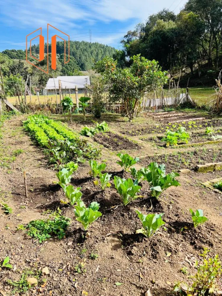Chácara, 10000 m² - Foto 6
