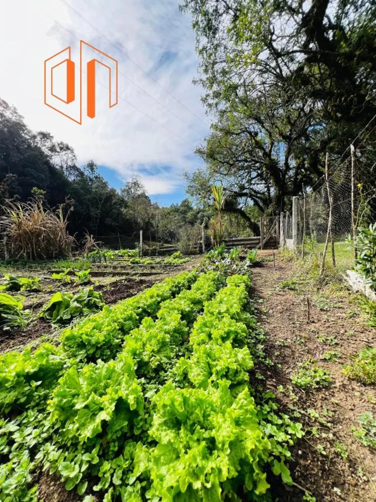 Chácara, 10000 m² - Foto 16