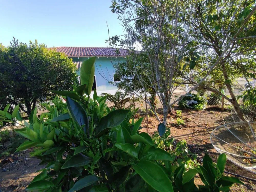 Casa, 3 quartos, 293 m² - Foto 10
