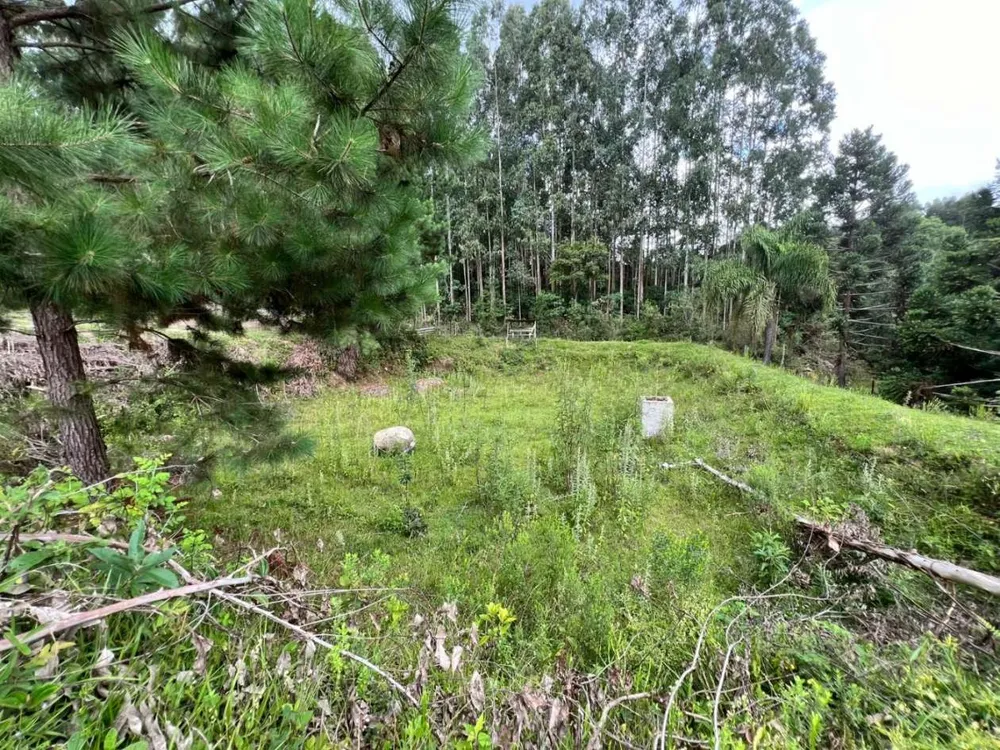 Chácara, 2 hectares - Foto 2