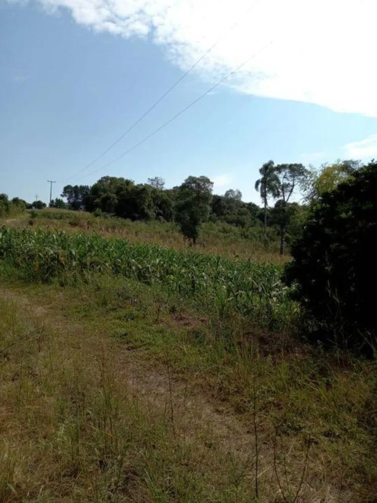 Sítio, 3 quartos, 13 hectares - Foto 10