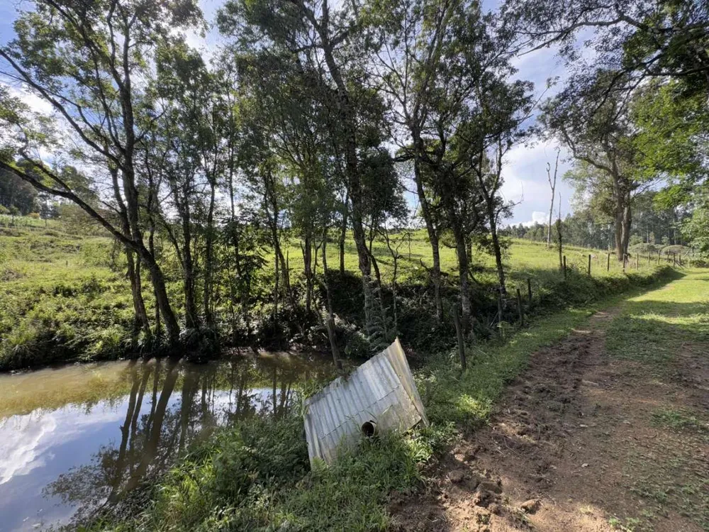 Chácara, 5 quartos, 2 hectares - Foto 3